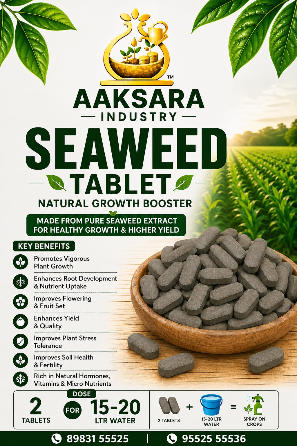 Aaksara Industry Seaweed Tablet Showcase